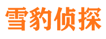 陆良市调查公司